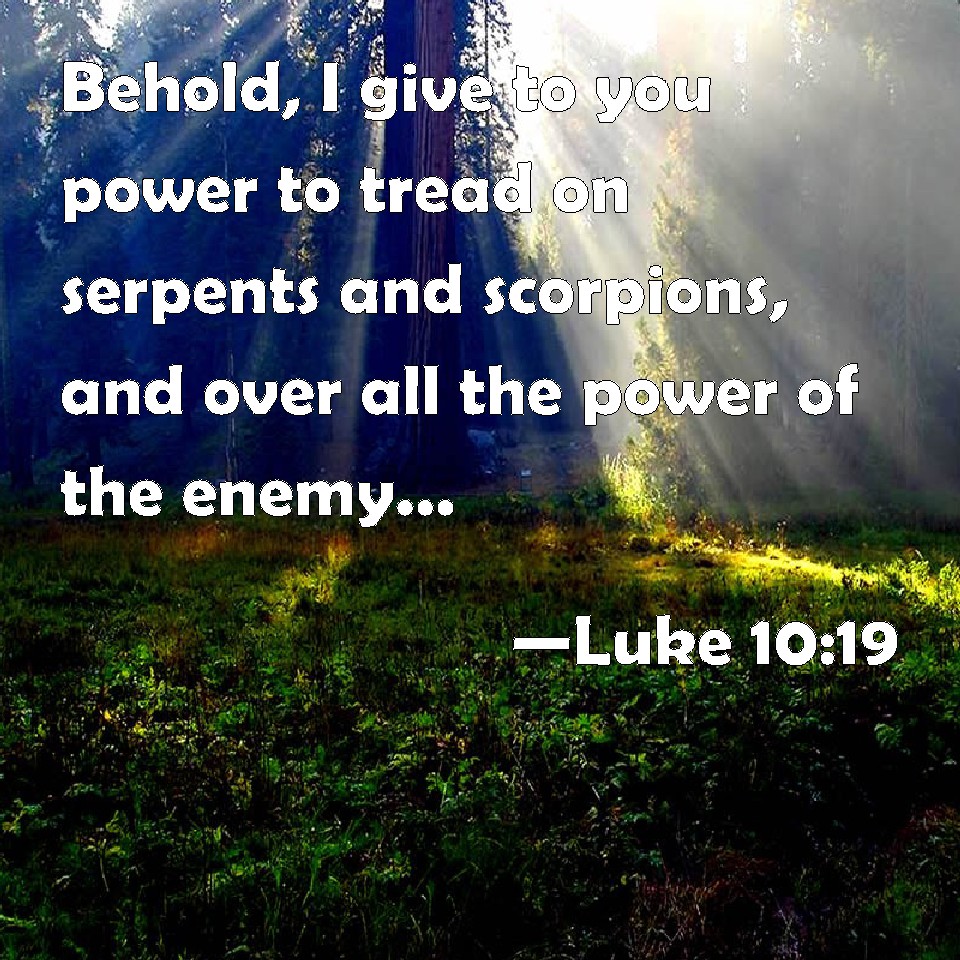 luke-10-19-behold-i-give-to-you-power-to-tread-on-serpents-and