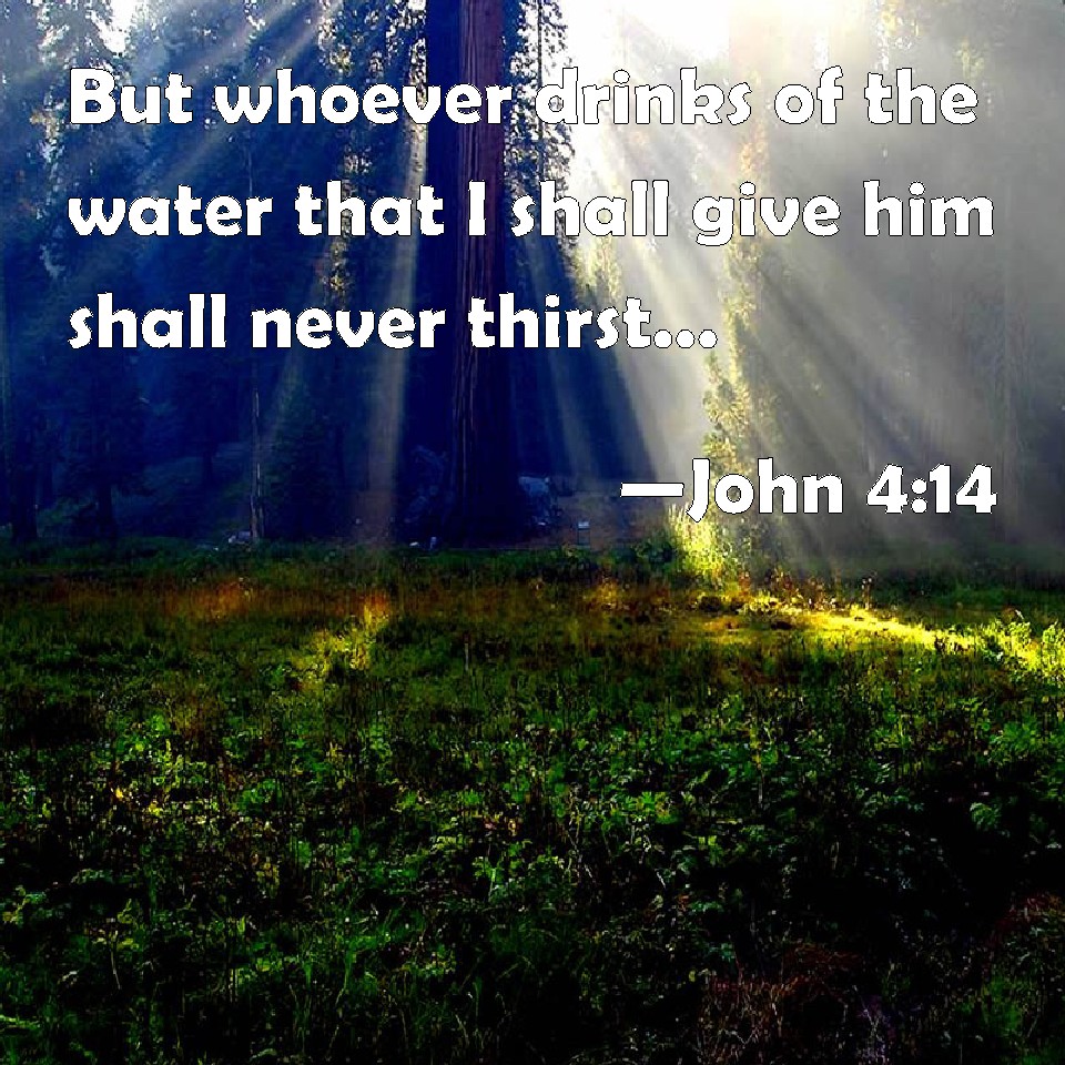 John 414 But Whoever Drinks Of The Water That I Shall Give Him Shall