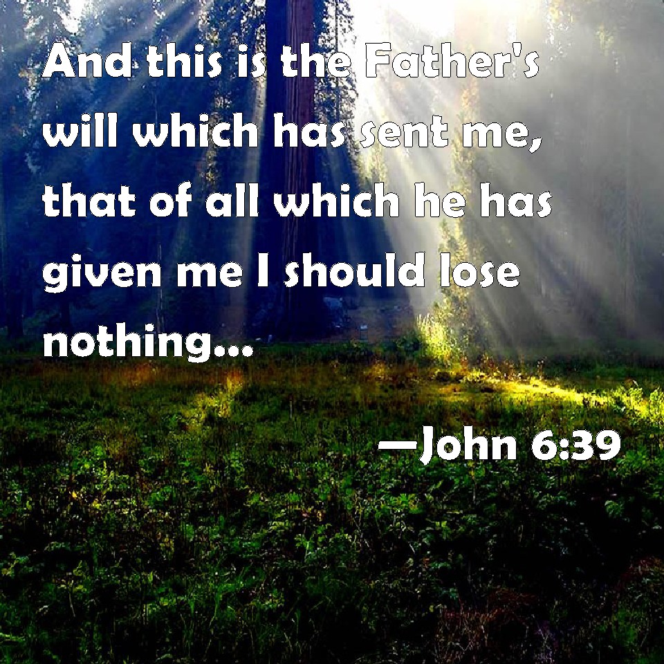 John 6:39 And this is the Father's will which has sent me, that of all ...