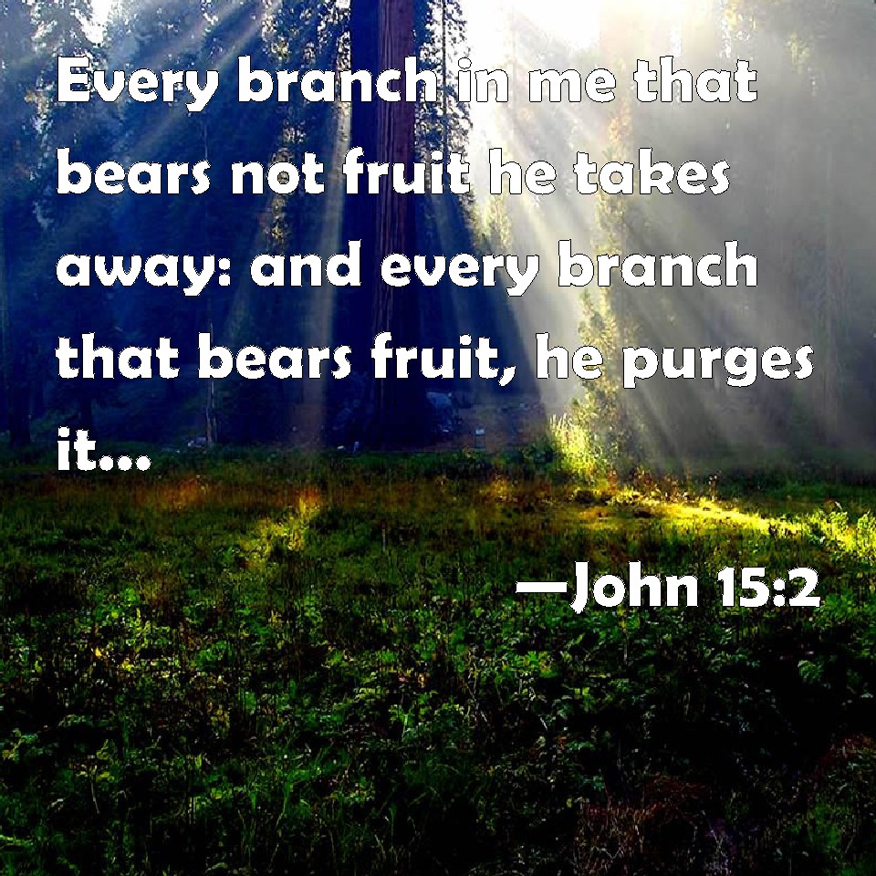 john-15-2-every-branch-in-me-that-bears-not-fruit-he-takes-away-and