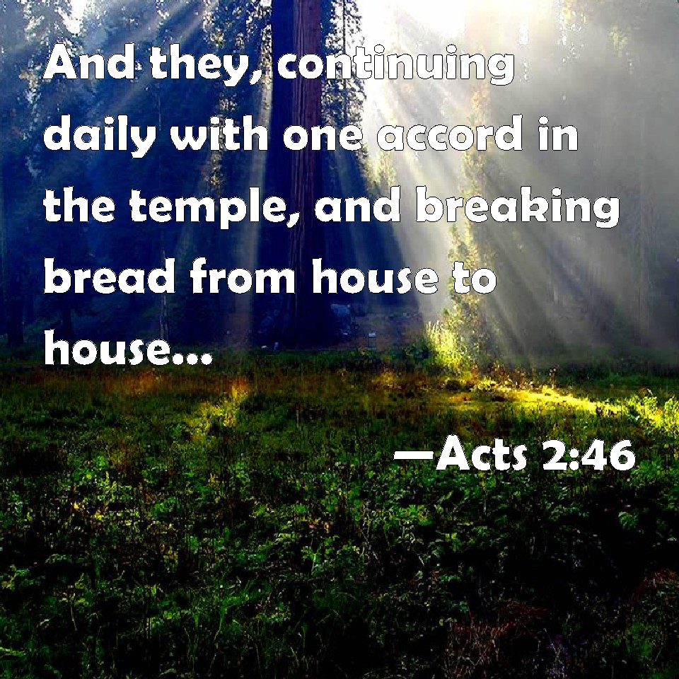 acts-2-46-and-they-continuing-daily-with-one-accord-in-the-temple-and