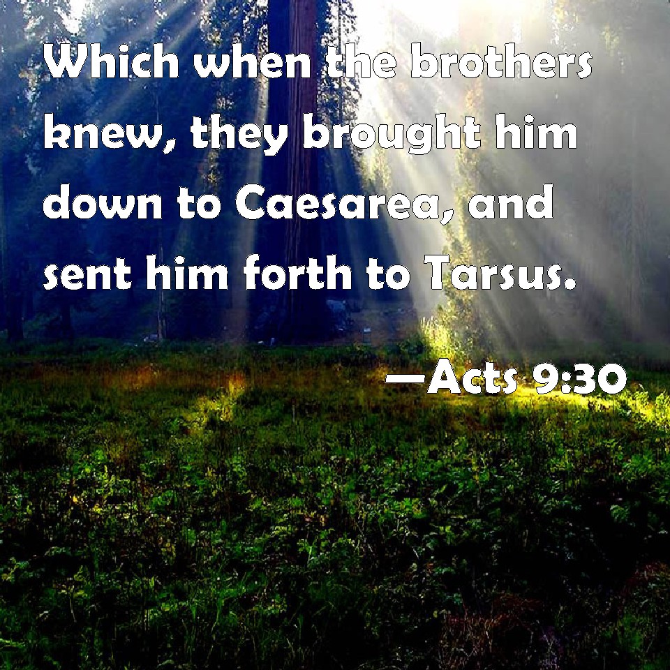 Acts 9:30 Which when the brothers knew, they brought him down to ...