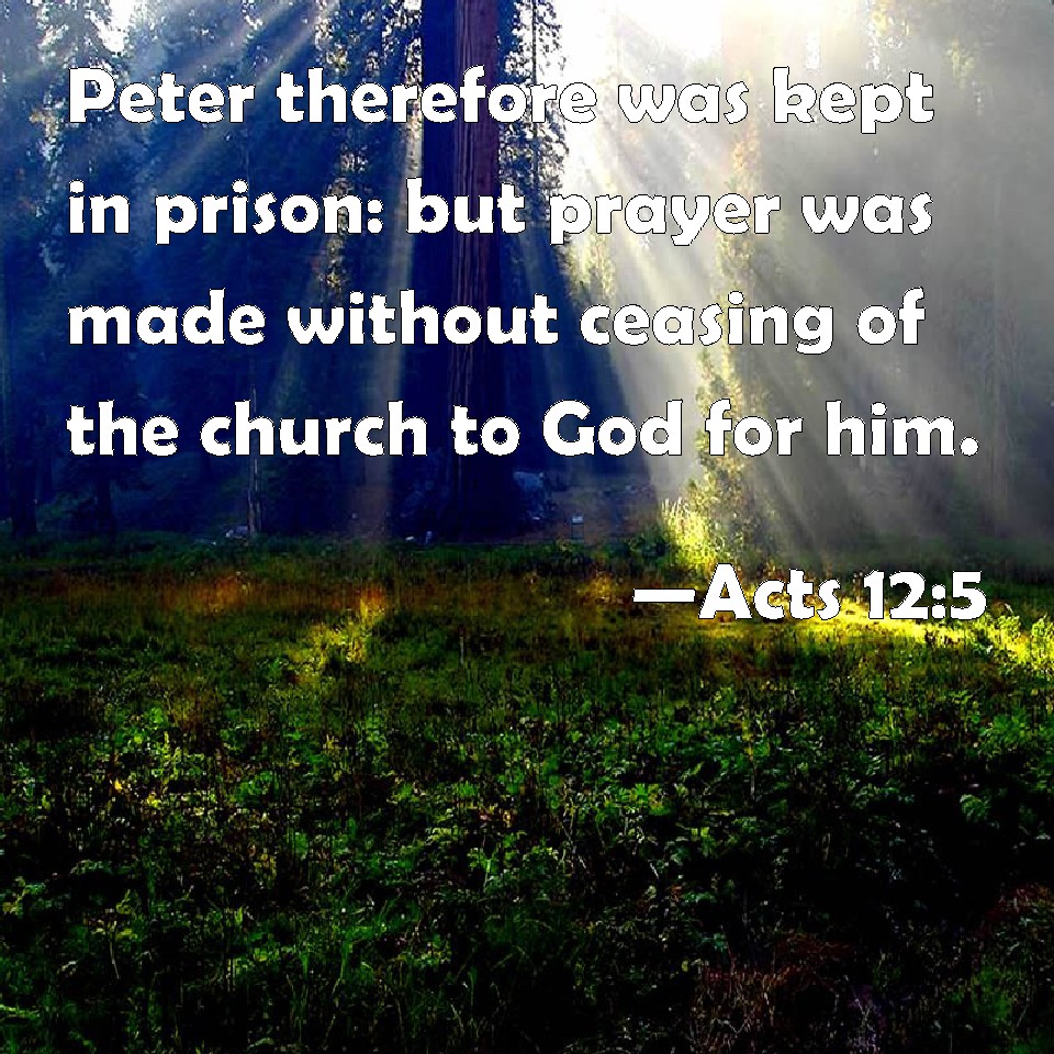 acts-12-5-peter-therefore-was-kept-in-prison-but-prayer-was-made-without-ceasing-of-the-church