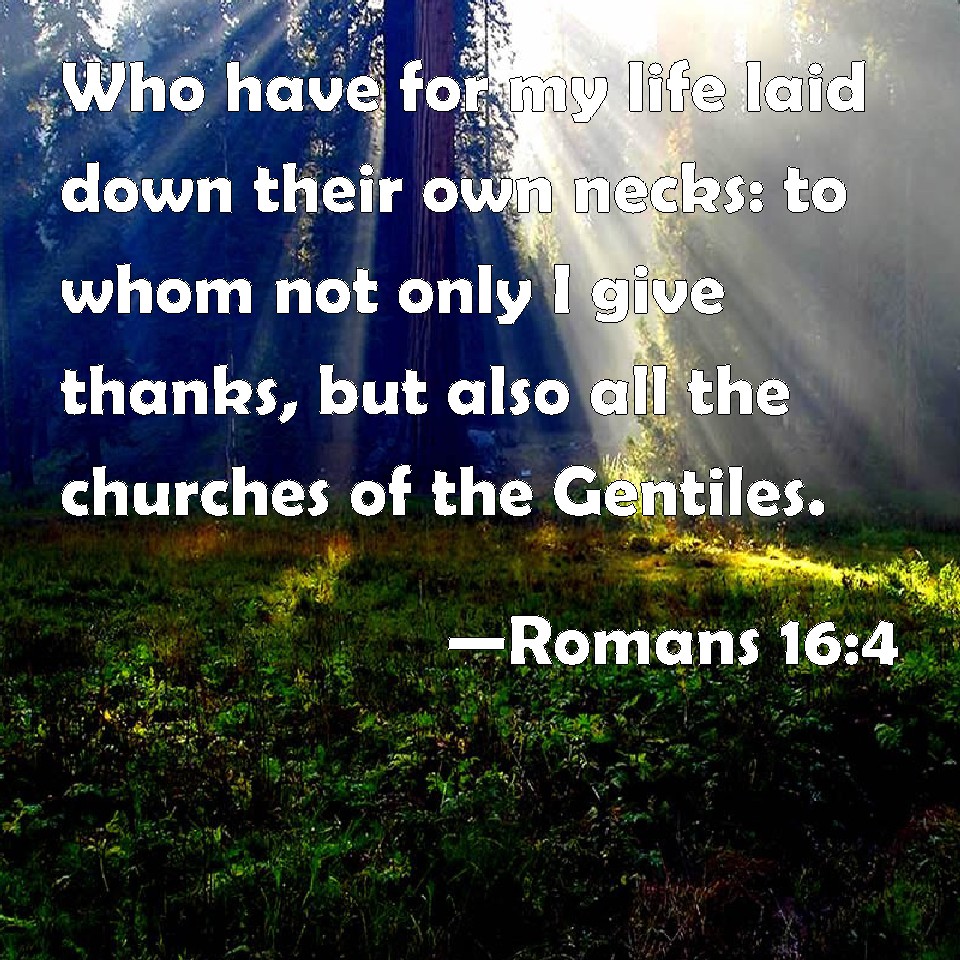 Romans 16:4 Who have for my life laid down their own necks: to whom not ...