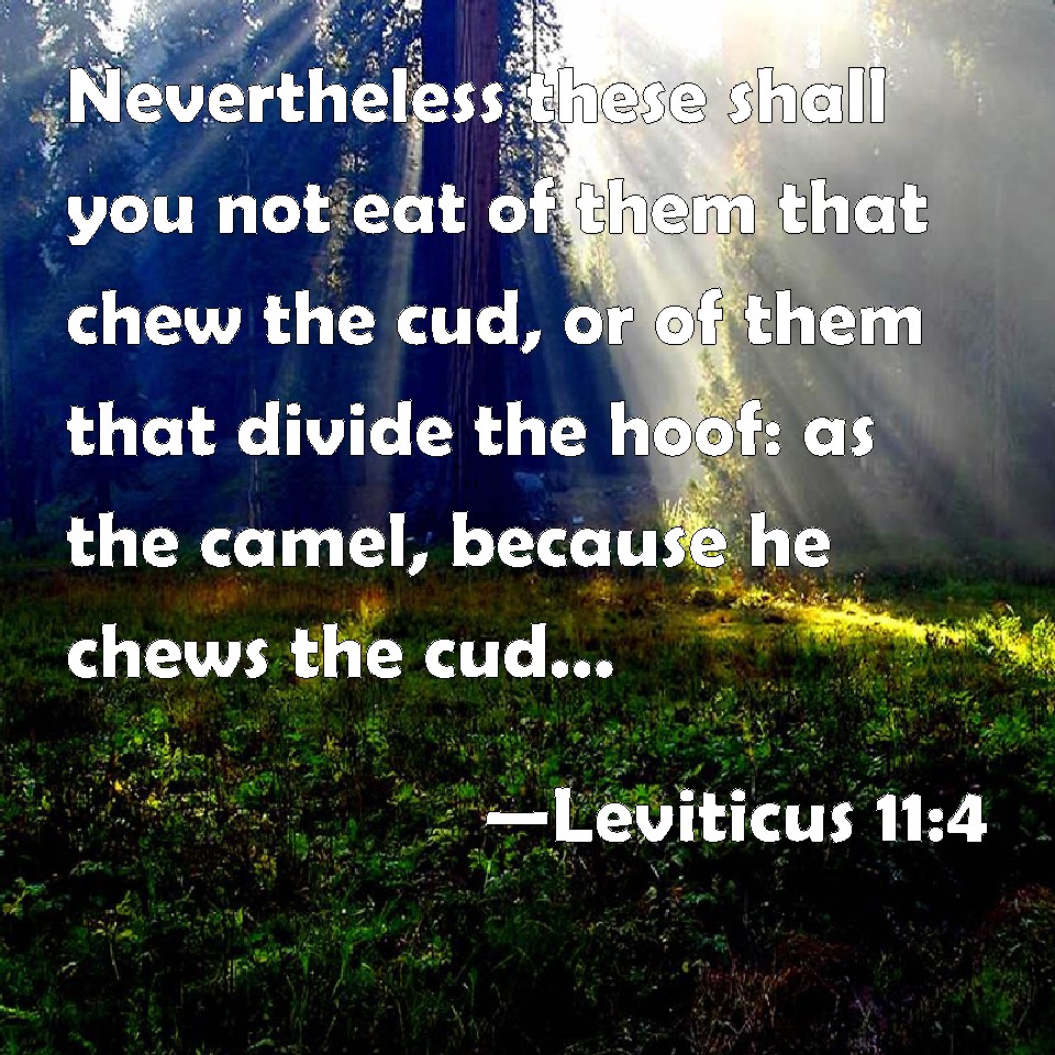 Leviticus 11:4 Nevertheless These Shall You Not Eat Of Them That Chew ...