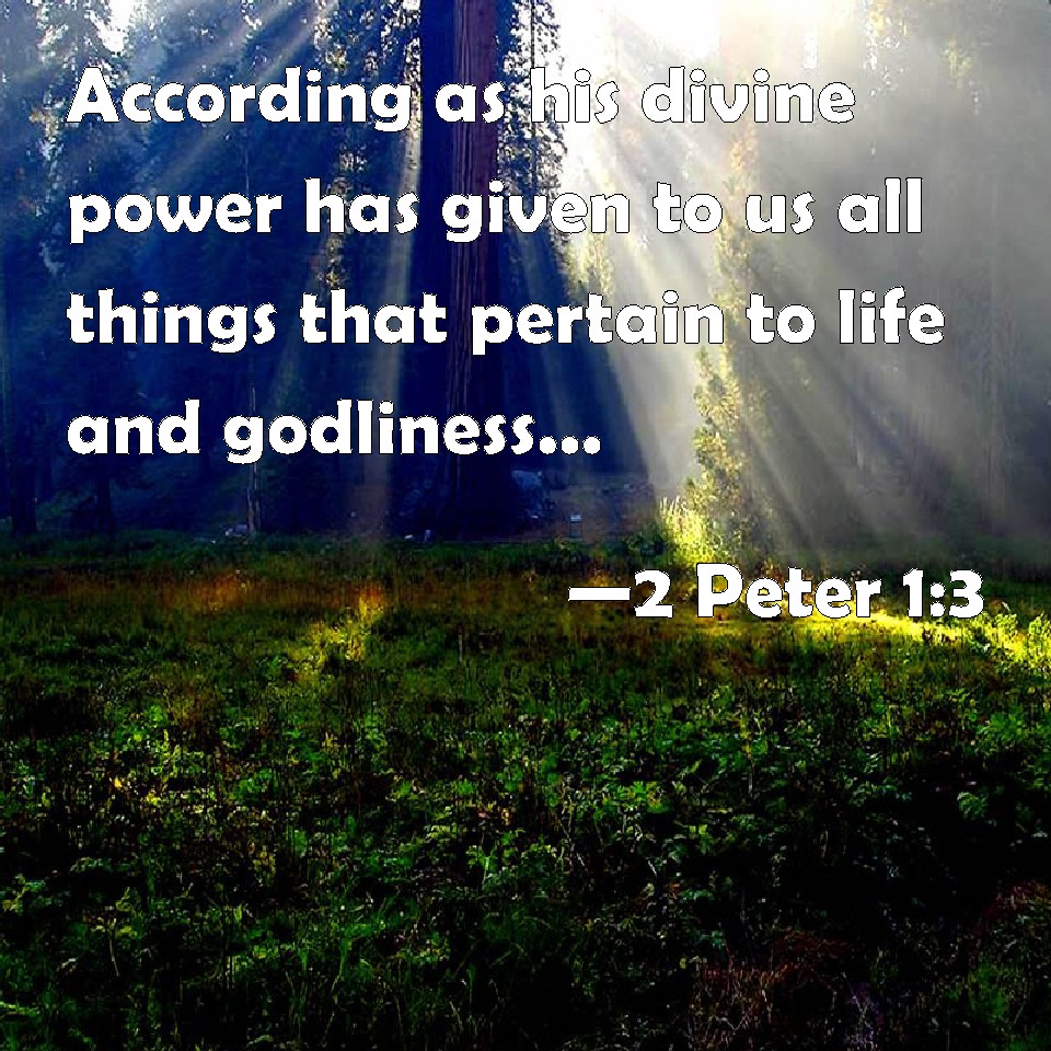 2 Peter 1 3 According As His Divine Power Has Given To Us All Things 