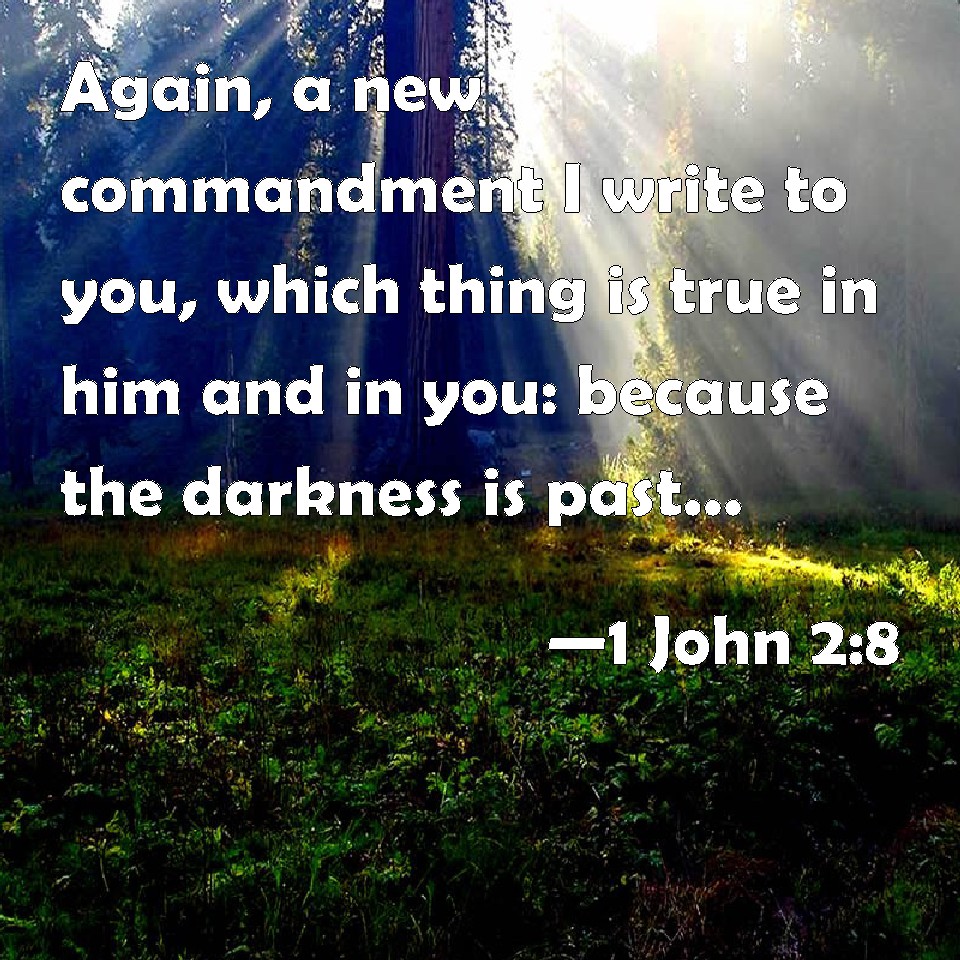 1 John 2:8 Again, a new commandment I write to you, which thing is true ...