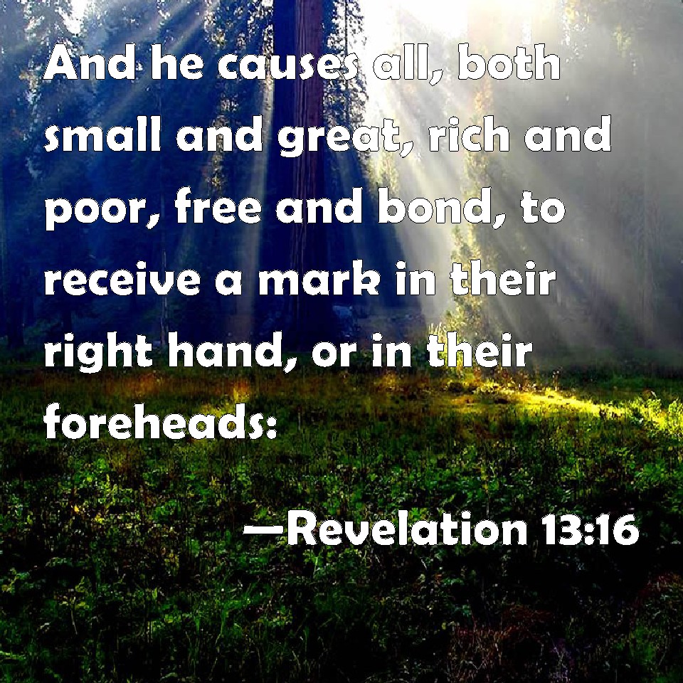 Revelation 13:16 And he causes all, both small and great, rich and poor ...