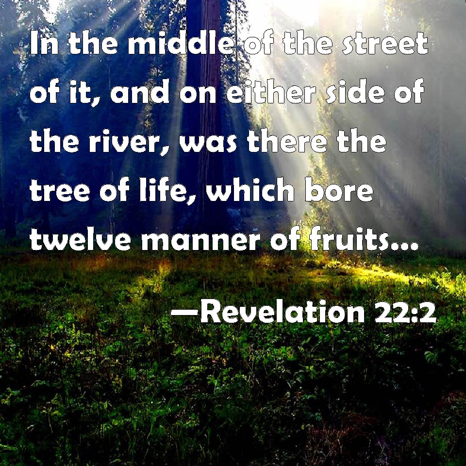 tree by the river bible