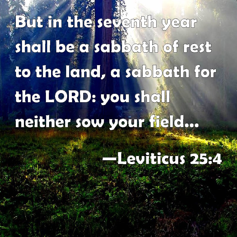 Leviticus 25:4 But in the seventh year shall be a sabbath of rest to ...