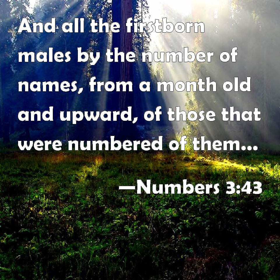 Numbers 3:43 And all the firstborn males by the number of names, from a