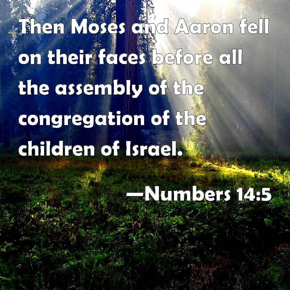 numbers-14-5-then-moses-and-aaron-fell-on-their-faces-before-all-the