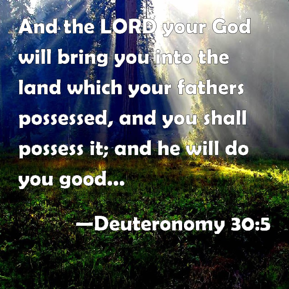 Deuteronomy 30:5 And the LORD your God will bring you into the land ...