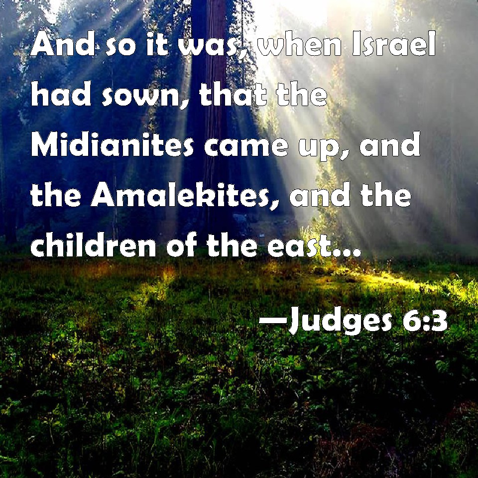 Judges 6:3 And so it was, when Israel had sown, that the Midianites ...