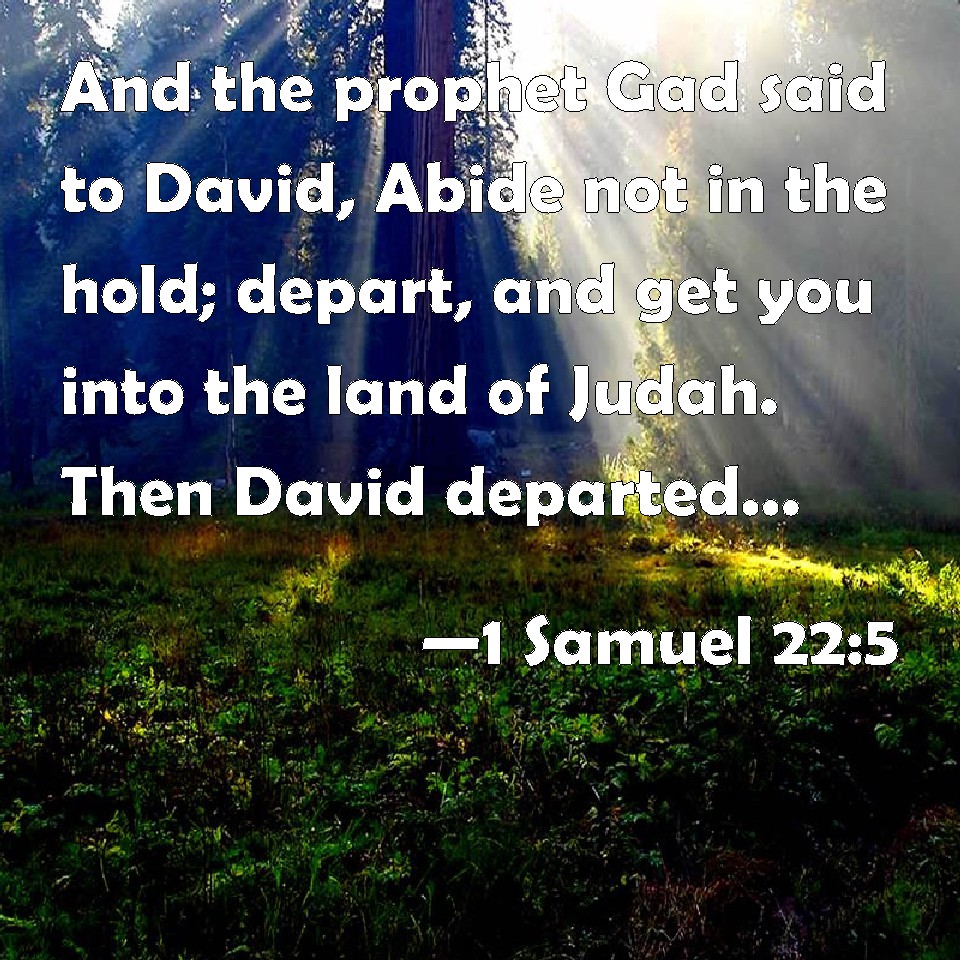 1 Samuel 22:5 And the prophet Gad said to David, Abide not in the hold ...