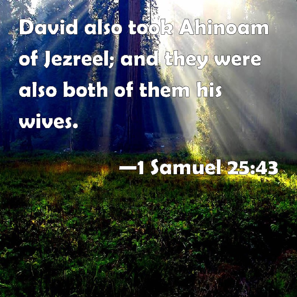 1 Samuel 2543 David Also Took Ahinoam Of Jezreel And They Were Also