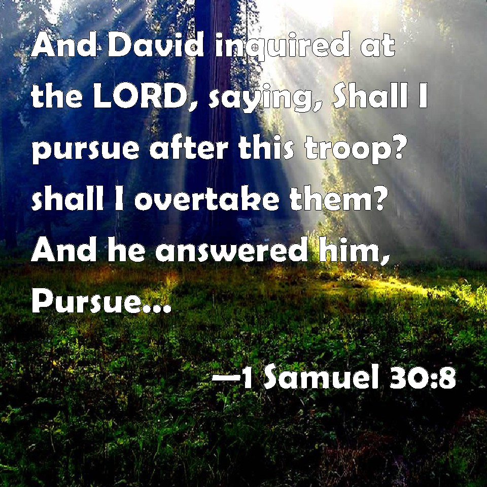 1 Samuel 308 And David inquired at the LORD, saying