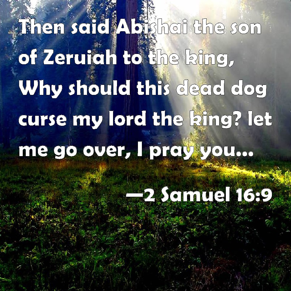 2-samuel-16-9-then-said-abishai-the-son-of-zeruiah-to-the-king-why