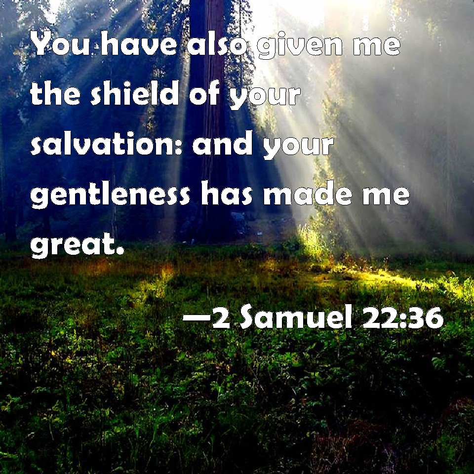 2 Samuel 22:36 You have also given me the shield of your salvation: and ...