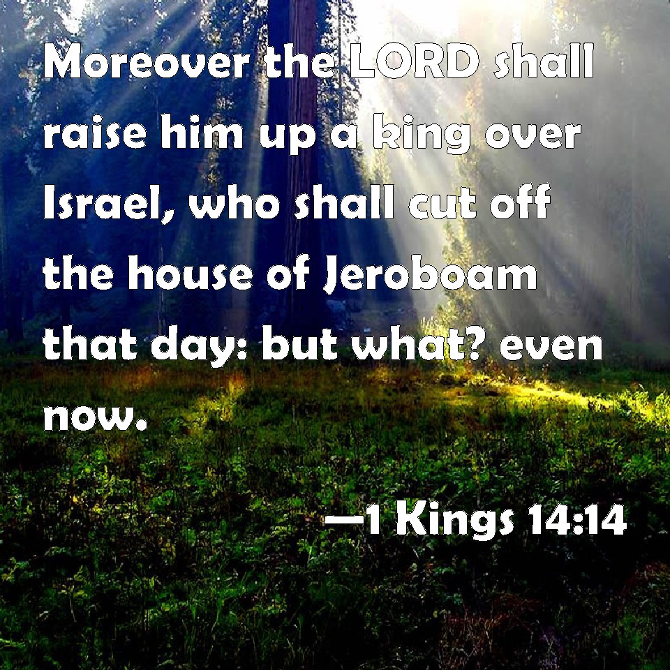 1-kings-14-14-moreover-the-lord-shall-raise-him-up-a-king-over-israel