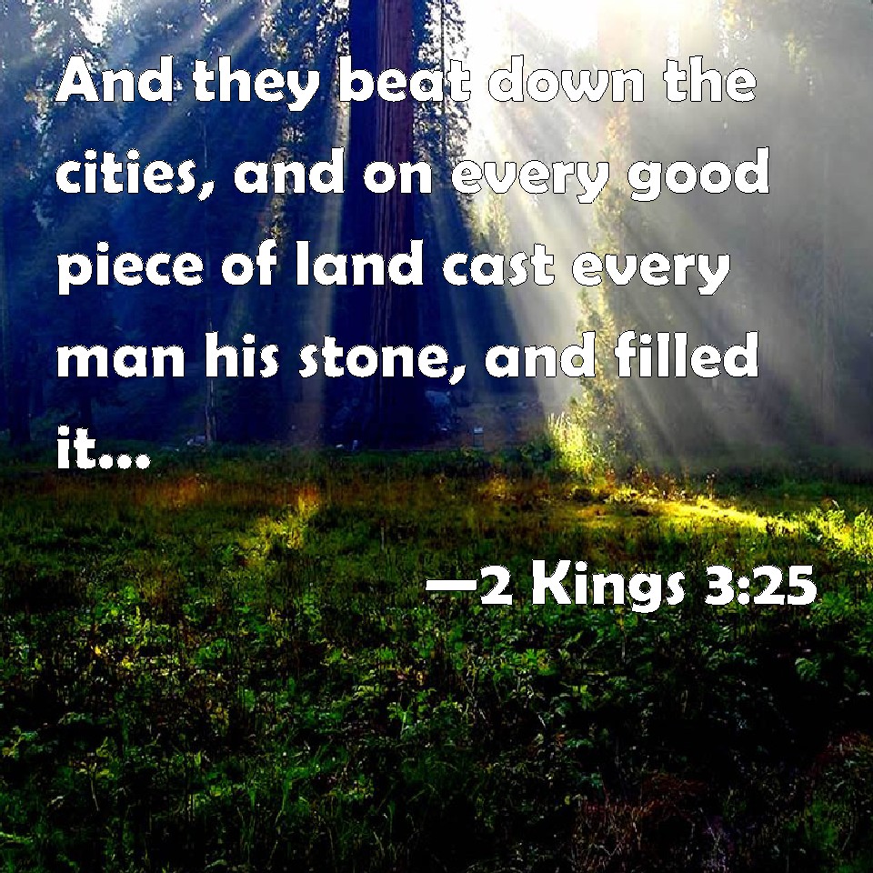 2 Kings 3:25 And they beat down the cities, and on every good piece of ...