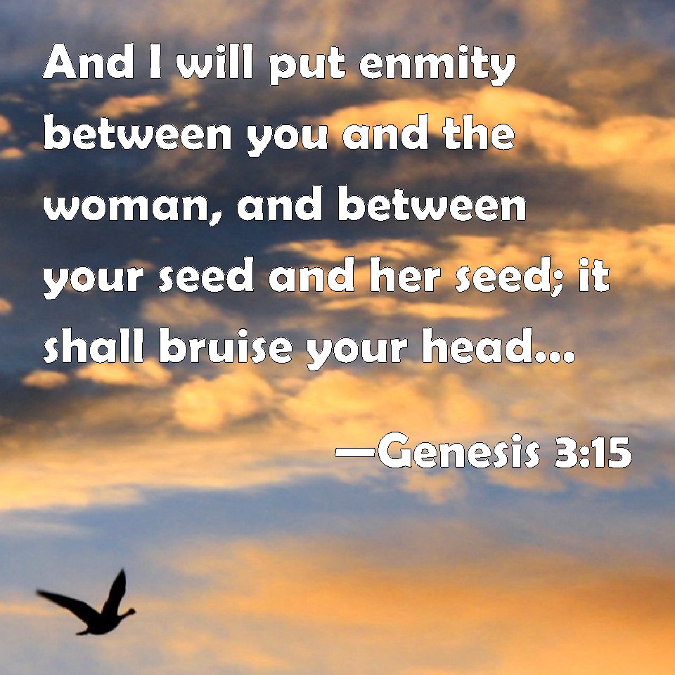 genesis-3-15-and-i-will-put-enmity-between-you-and-the-woman-and