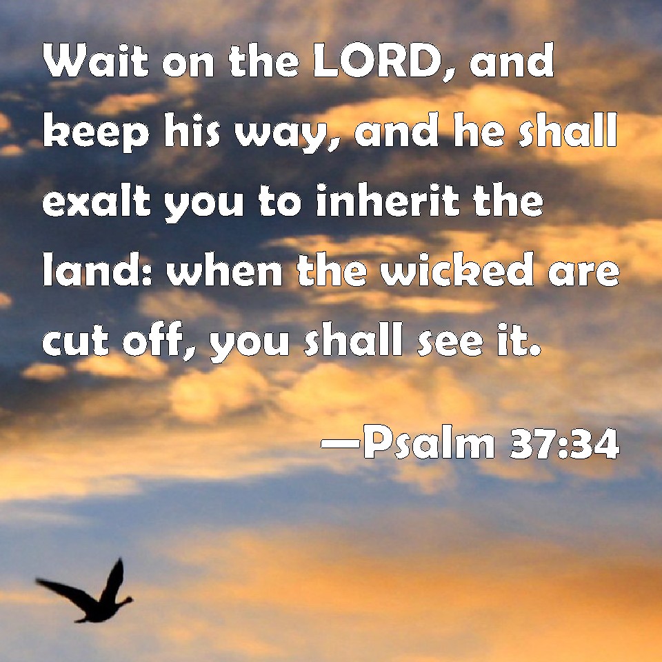 Psalm 37 34 Wait On The LORD And Keep His Way And He Shall Exalt You 