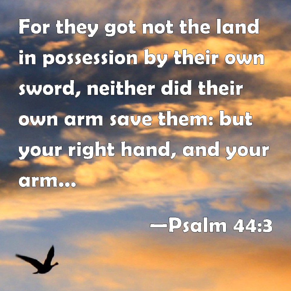 Psalm 44 3 For They Got Not The Land In Possession By Their Own Sword 