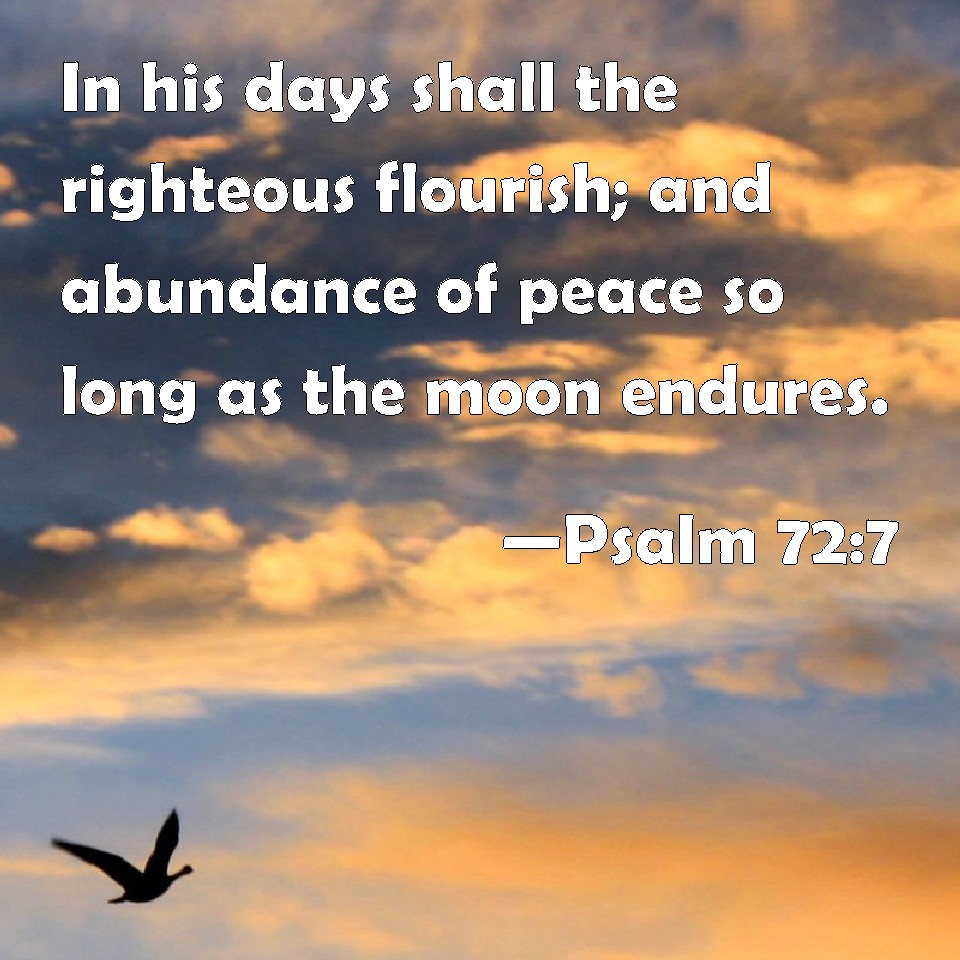 Psalm 72 7 In His Days Shall The Righteous Flourish And Abundance Of 