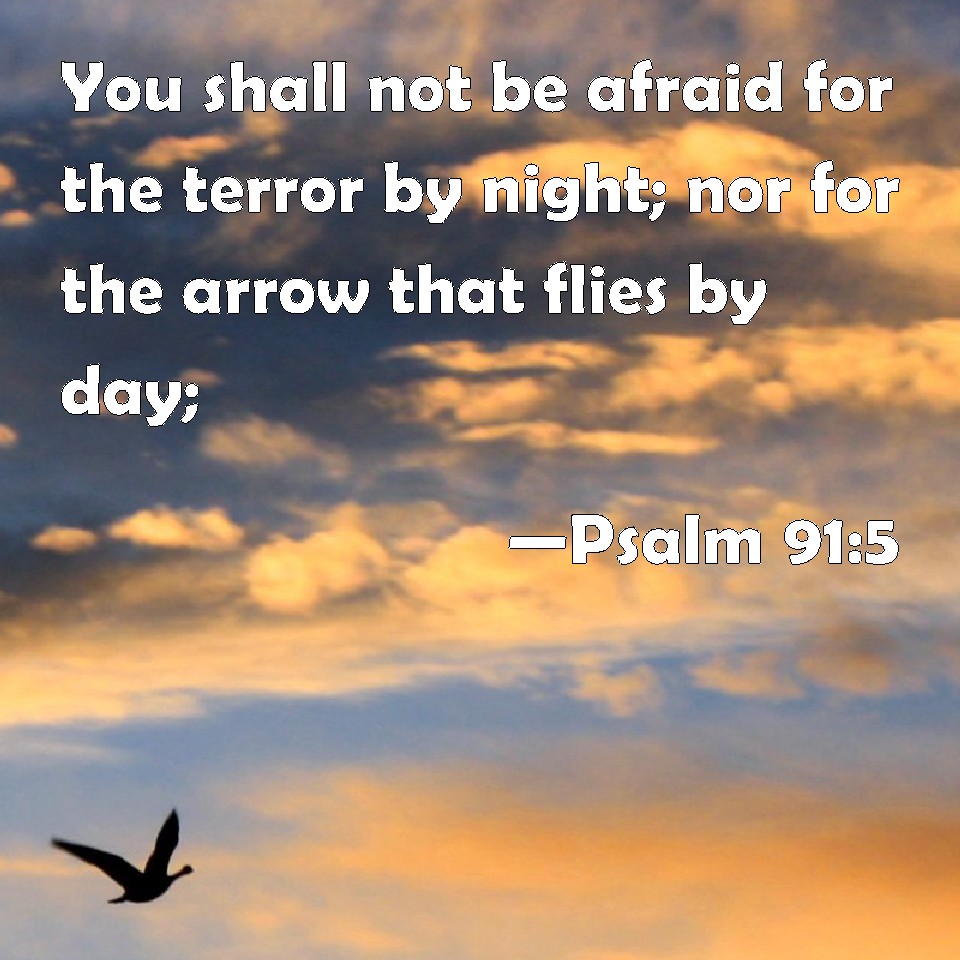 Psalm 91:5 You shall not be afraid for the terror by night; nor for the ...