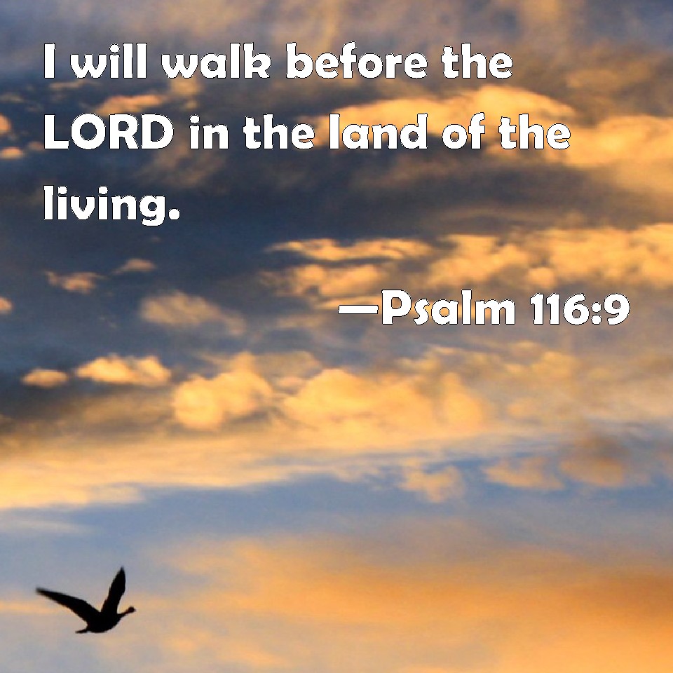 psalm-116-9-i-will-walk-before-the-lord-in-the-land-of-the-living