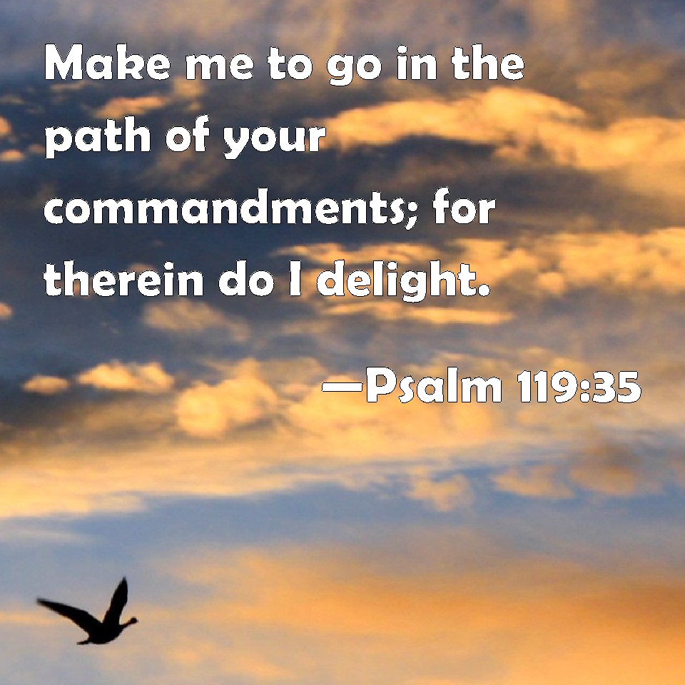 psalm-119-35-make-me-to-go-in-the-path-of-your-commandments-for