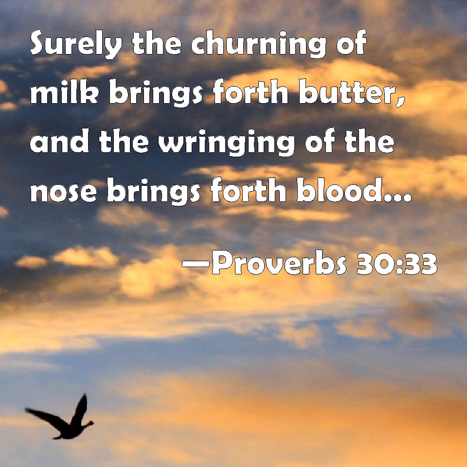 proverbs-30-33-surely-the-churning-of-milk-brings-forth-butter-and-the