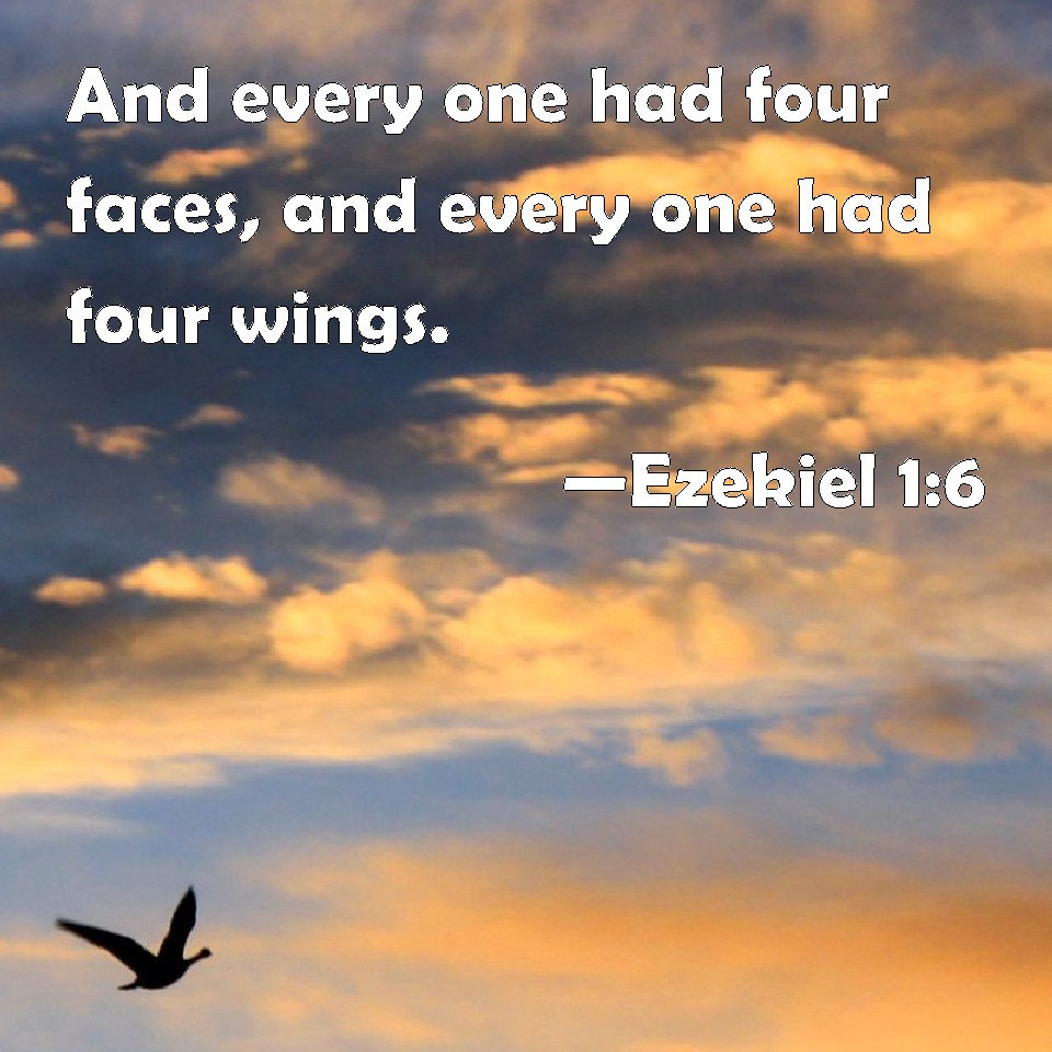 Ezekiel 1:6 And every one had four faces, and every one had four wings.