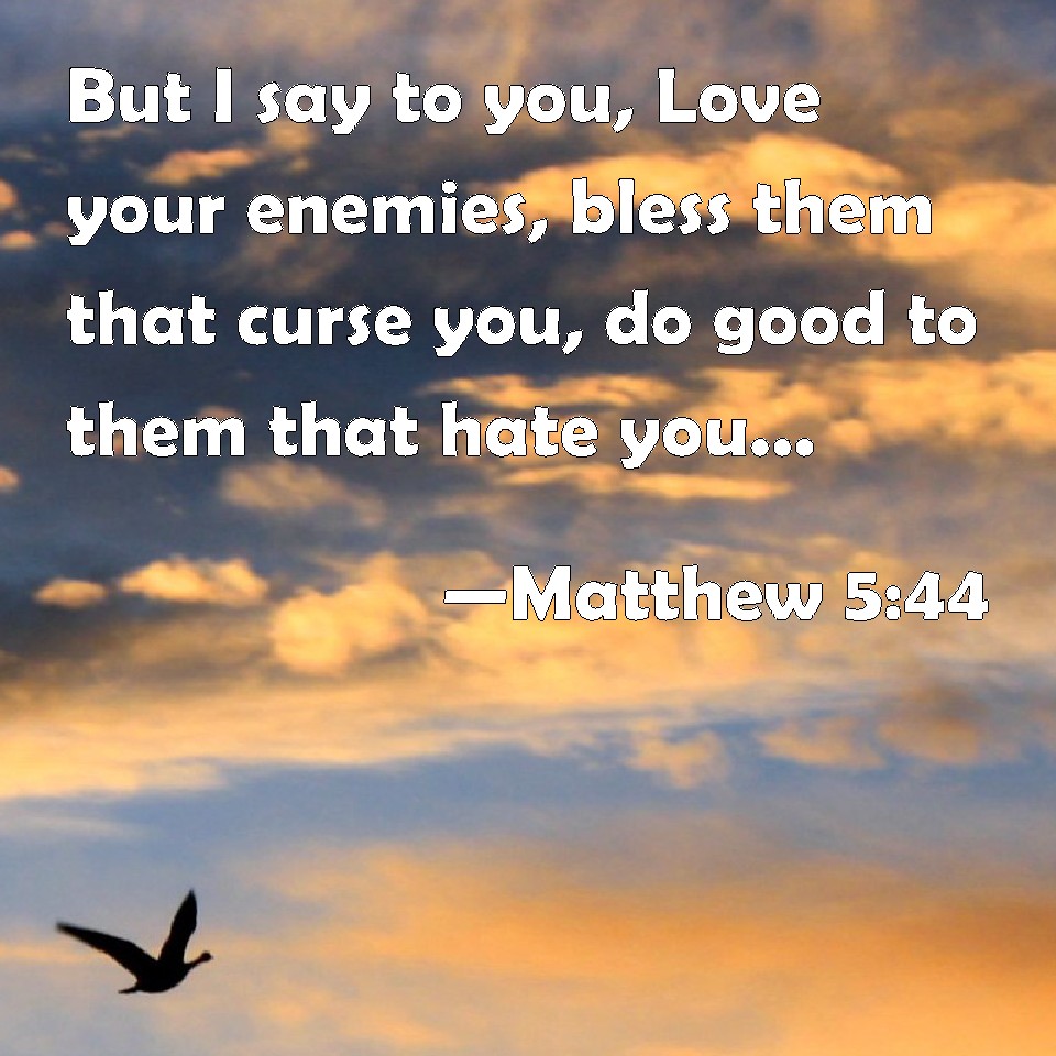 Matthew 5:44 But I say to you, Love your enemies, bless them that curse