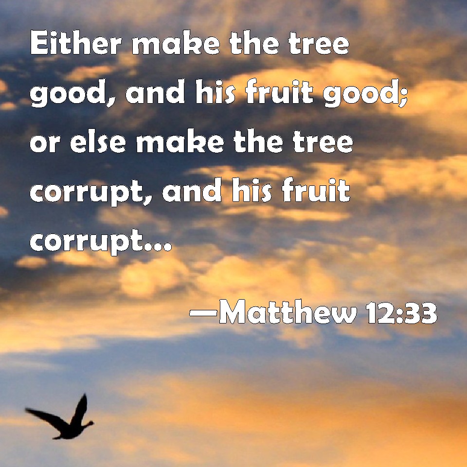 Matthew 12 33 Either Make The Tree Good And His Fruit Good Or Else 