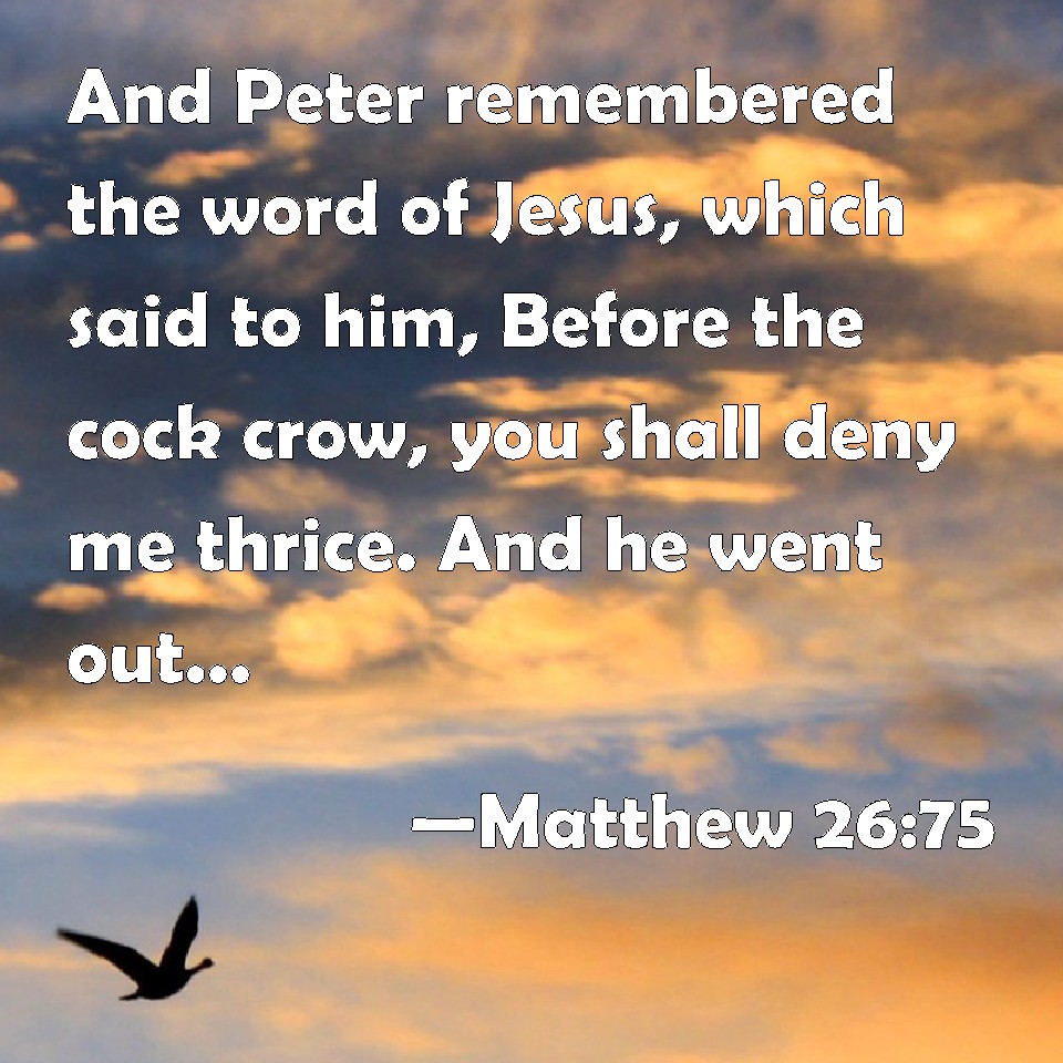 Matthew 26 75 And Peter Remembered The Word Of Jesus Which Said To Him 