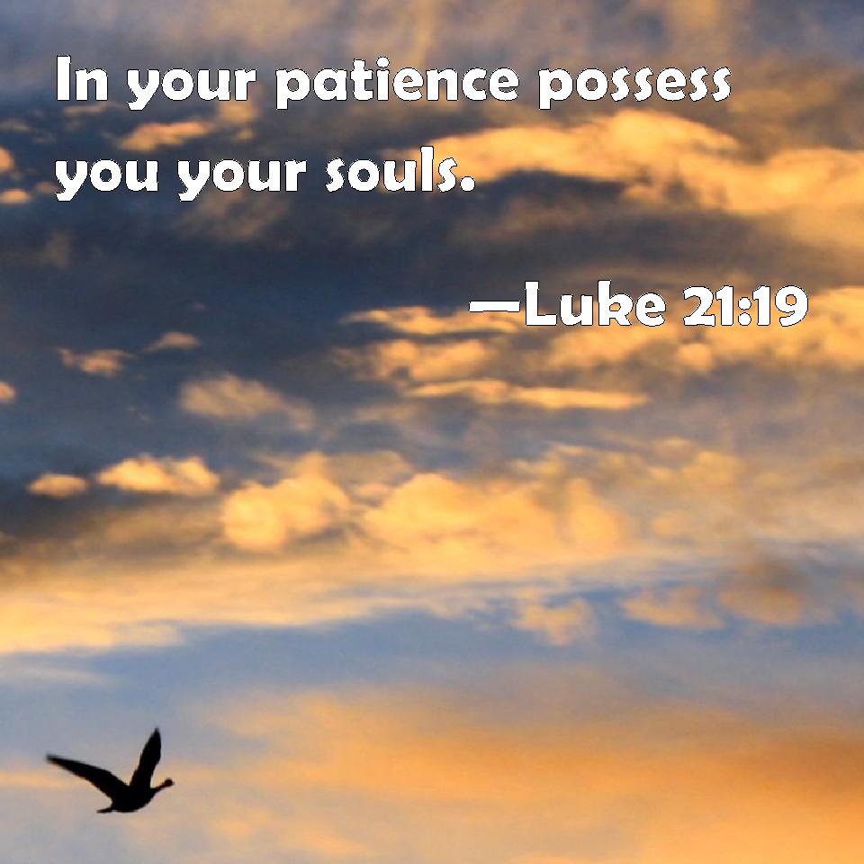 Luke 21 19 In Your Patience Possess You Your Souls 