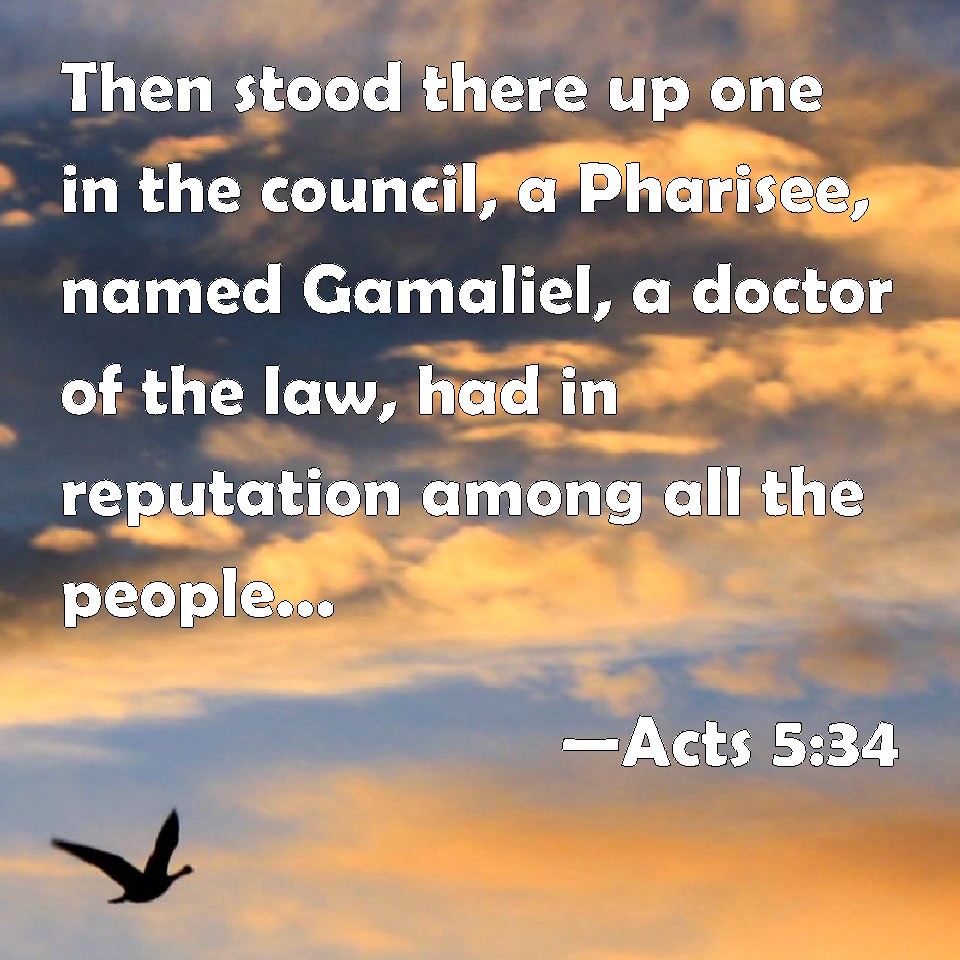 Acts 5:34 Then stood there up one in the council, a Pharisee, named ...