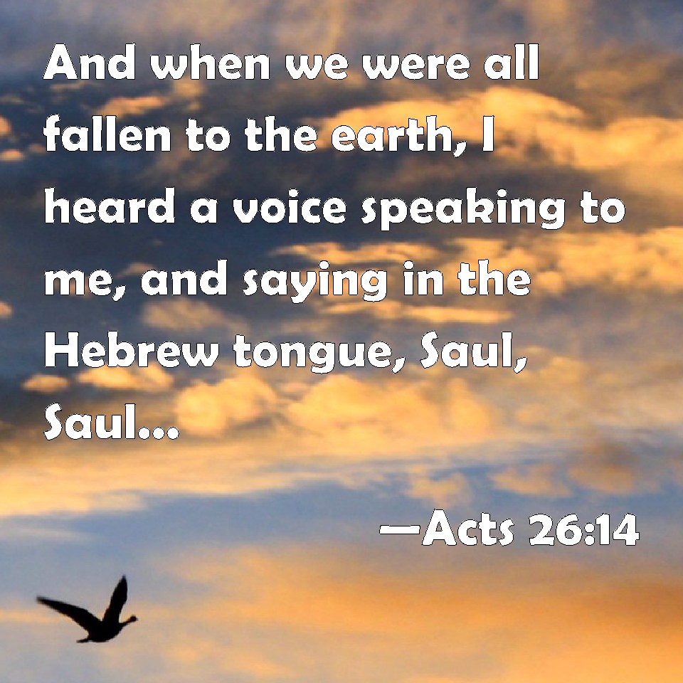 Acts 26:14 And when we were all fallen to the earth, I heard a voice ...