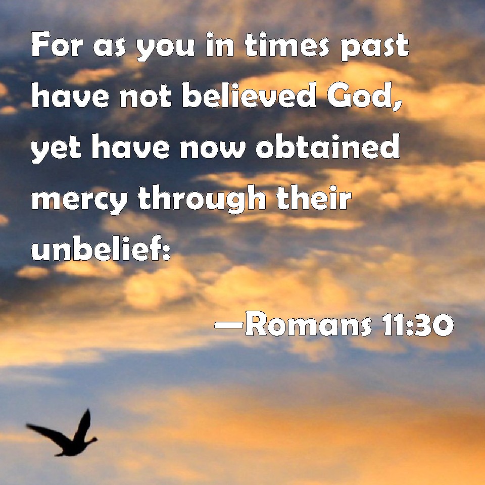 Romans 1130 For as you in times past have not believed