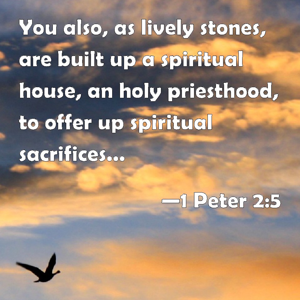 1 Peter 2:5 You also, as lively stones, are built up a ...