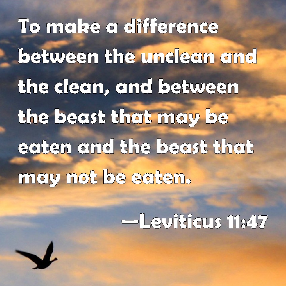 Leviticus 11:47 To Make A Difference Between The Unclean And The Clean ...