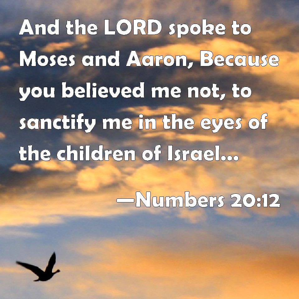 Numbers 20:12 And the LORD spoke to Moses and Aaron, Because you ...