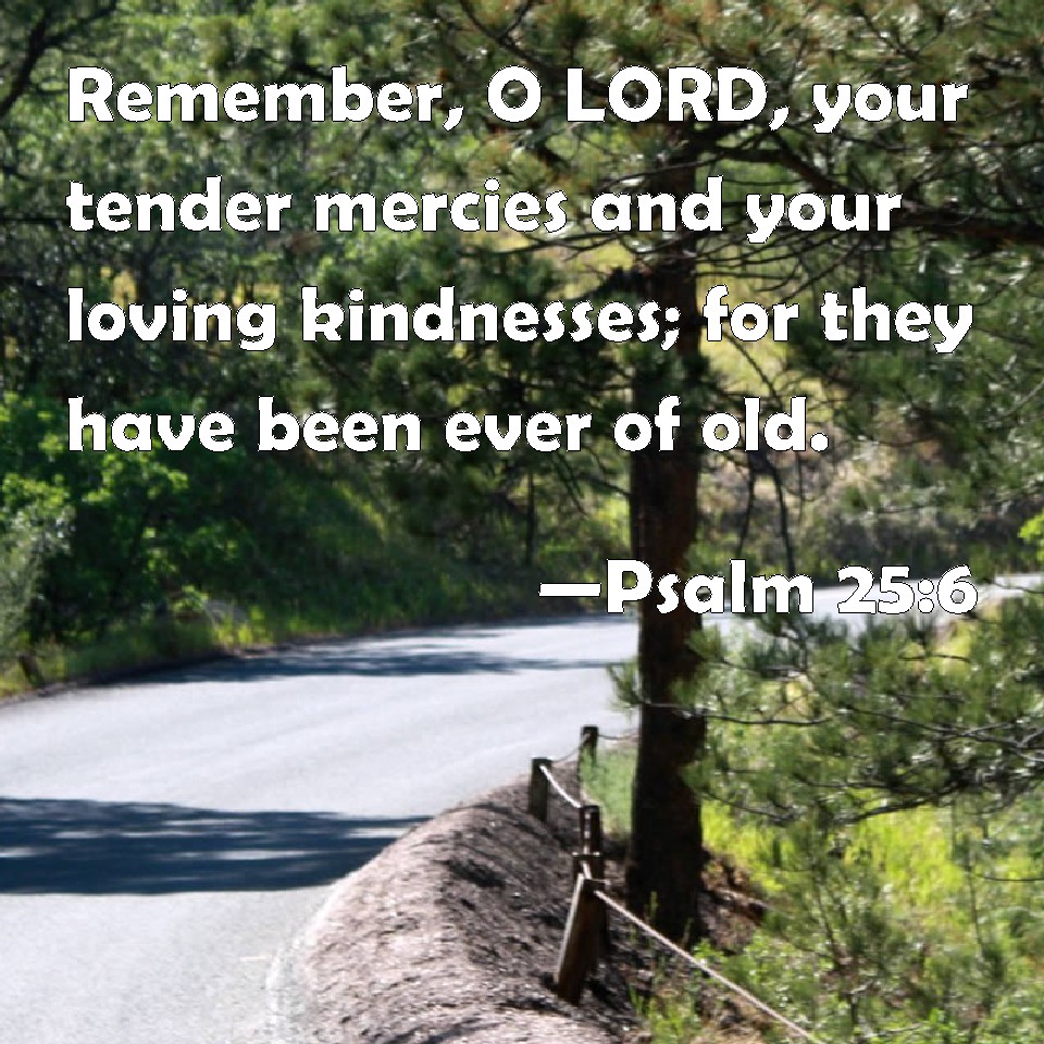 Psalm 25:6 Remember, O LORD, your tender mercies and your loving ...