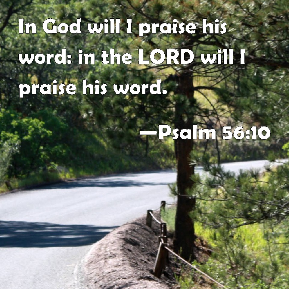 psalm-56-10-in-god-will-i-praise-his-word-in-the-lord-will-i-praise