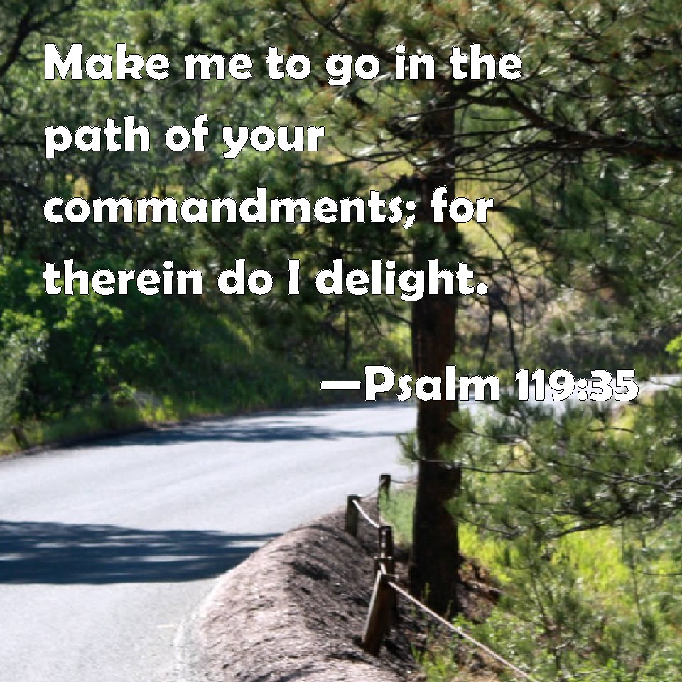 psalm-119-35-make-me-to-go-in-the-path-of-your-commandments-for