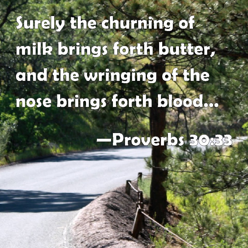 proverbs-30-33-surely-the-churning-of-milk-brings-forth-butter-and-the