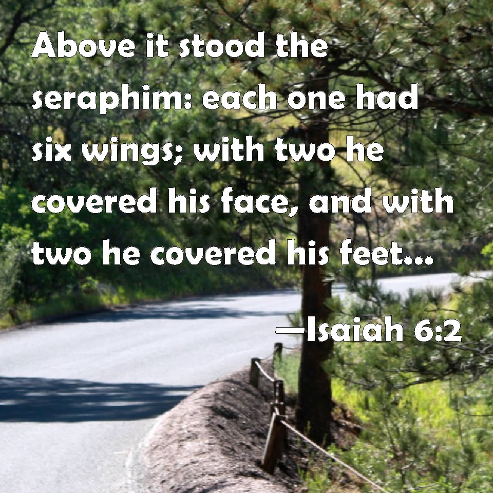 Isaiah 6:2 Above it stood the seraphim: each one had six wings; with ...