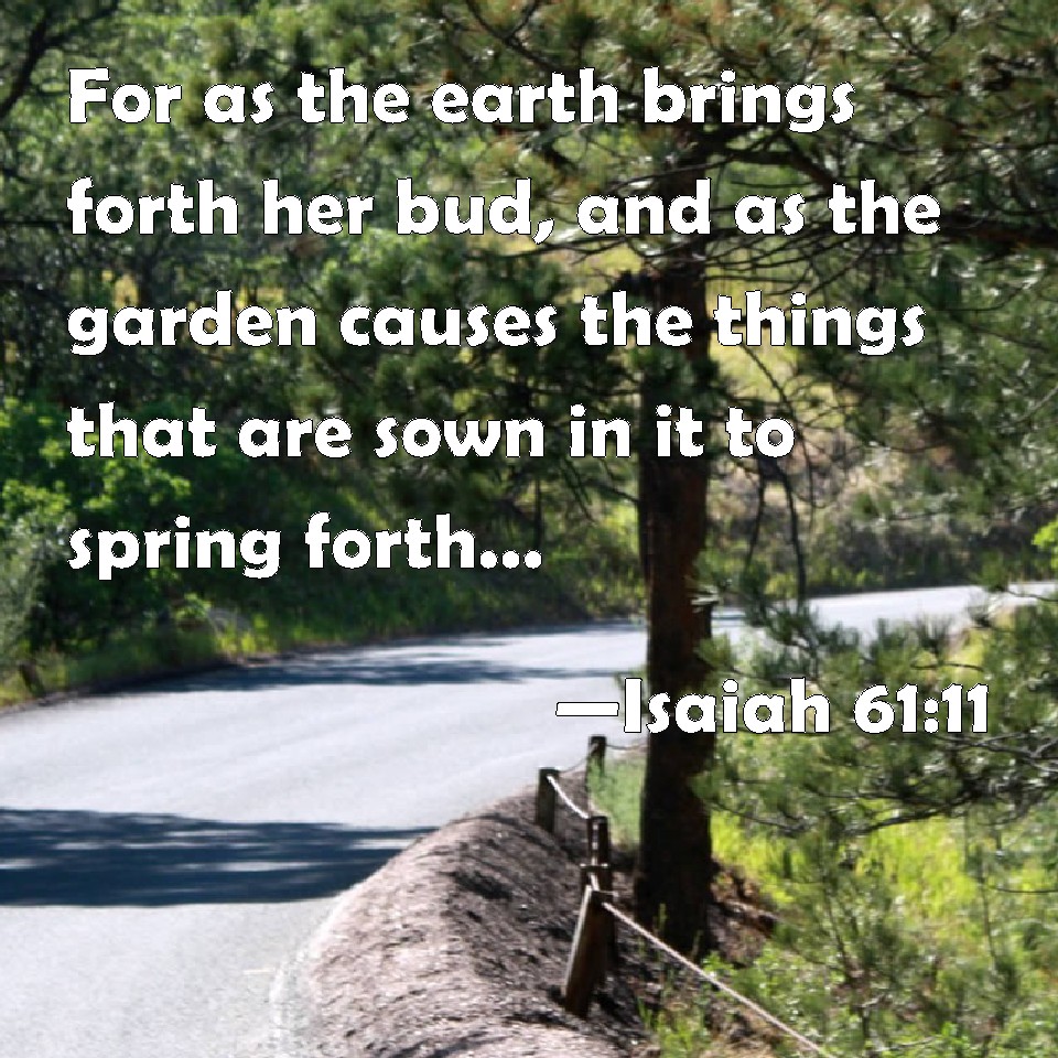 Isaiah 61:11 For As The Earth Brings Forth Her Bud, And As The Garden ...